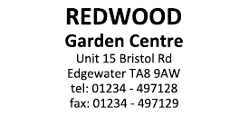 Печат Colop Classic Line 2400 58x27мм професионален