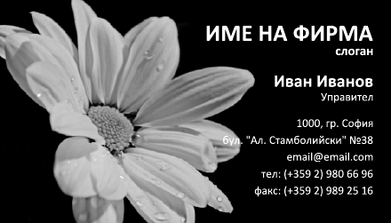 Визитни картички №1269