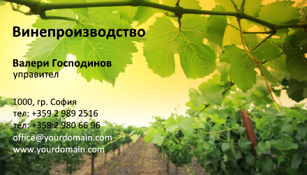 Визитни картички №1423