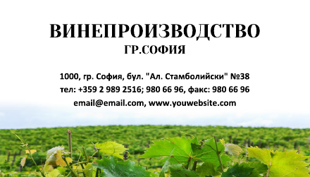 Визитни картички №1424