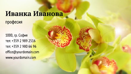 Визитни картички №1138