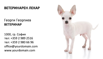 Визитни картички №1419