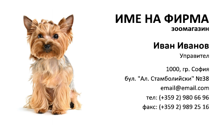 Визитни картички №1431