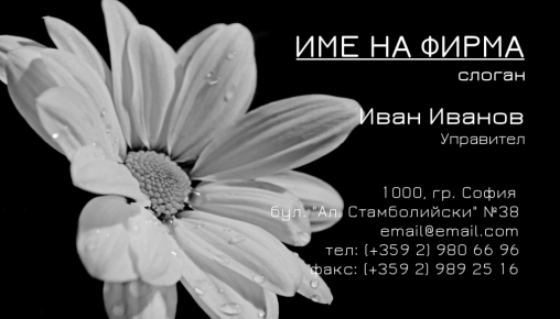 Визитни картички №1269