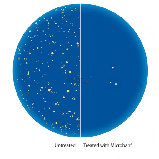 Colop Pocket Stamp PLUS 30 Microban (18х47мм.), джобен печат с антибактериална защита - 4