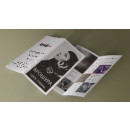 Дипляна 100x210