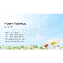 Визитни картички №1495